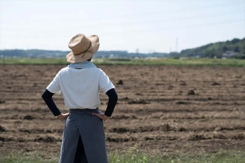 茨城県常総市の干し芋保存期間を最大限に活かす方法